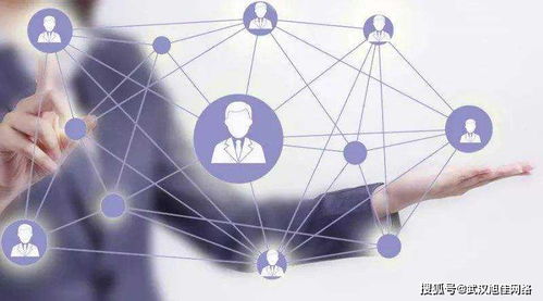 企業(yè)網(wǎng)站制作費用差異在哪里？深入解析互聯(lián)網(wǎng)上網(wǎng)服務(wù)的成本因素